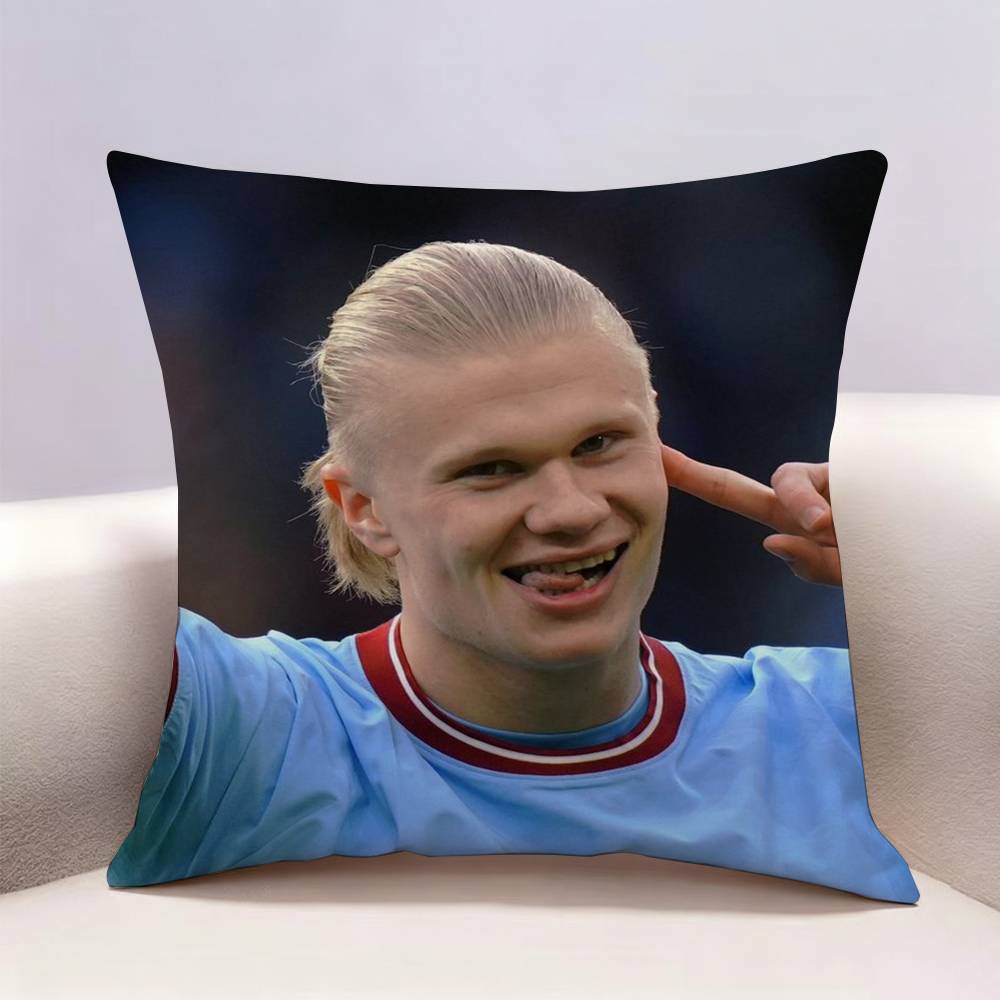 Sarung Bantal Cetak Dua Sisi E - Recliner Sofa Cover ulasan dan harga