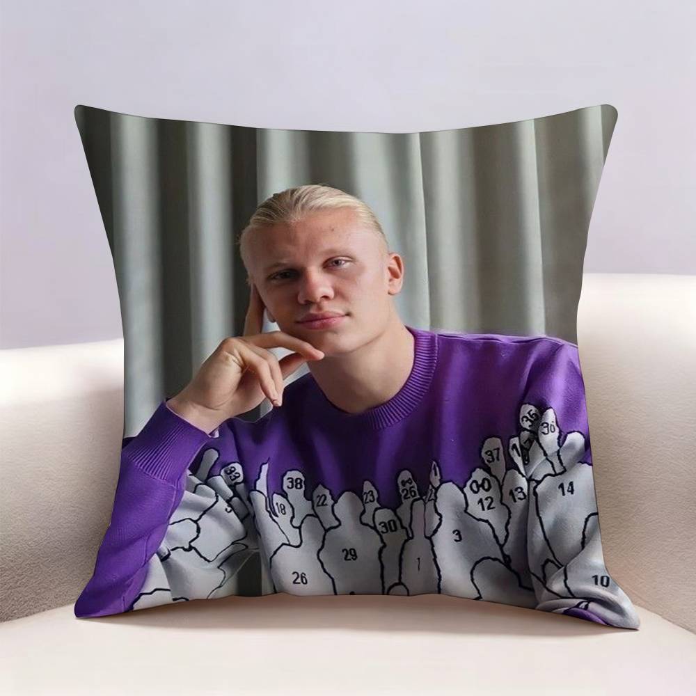 Sarung Bantal Cetak Dua Sisi E - Recliner Sofa Cover ulasan dan harga