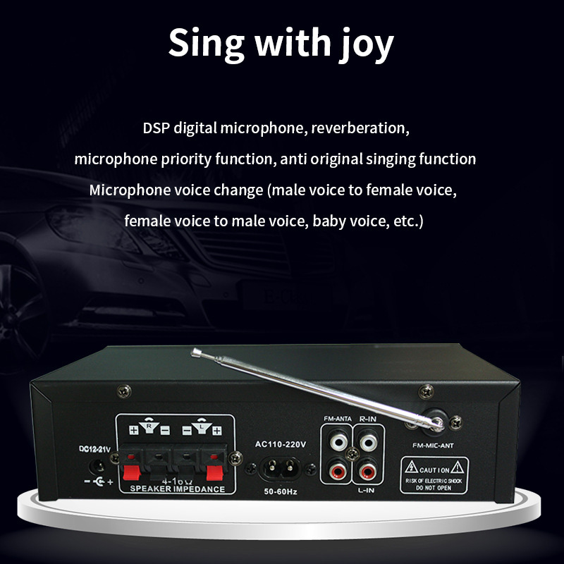 G-919H 1000W penguat daya Ruma - Home Cinema Choice ulasan dan harga