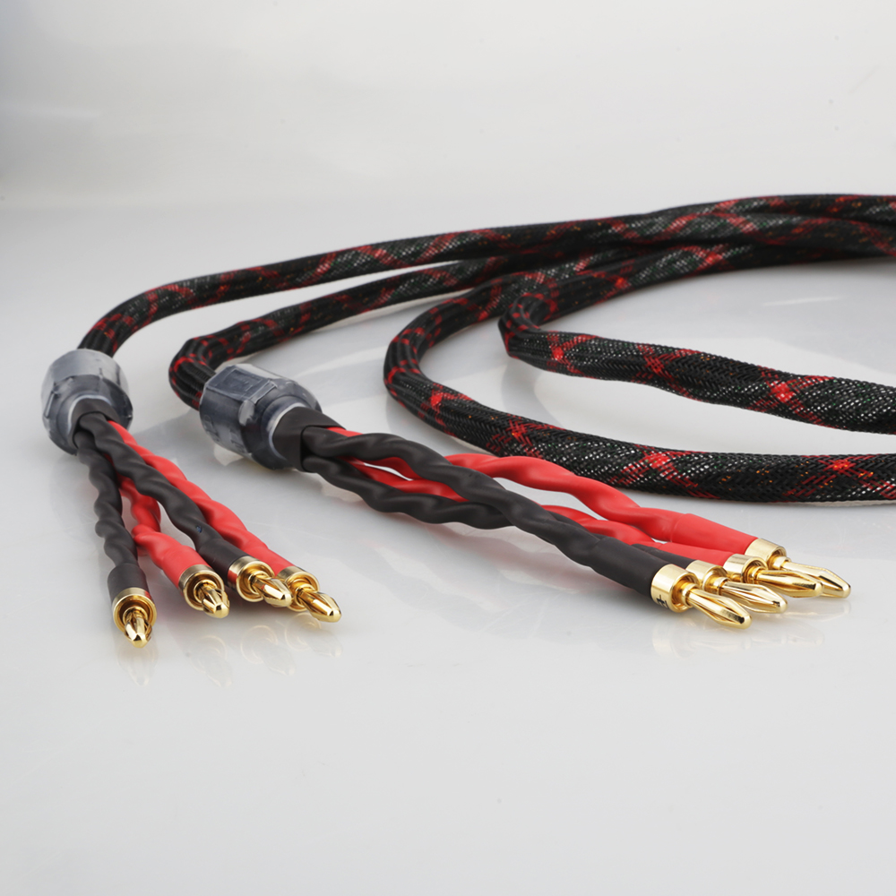 16 Core OFC Bi-Wire Kabel Spea - Home Cinema Equipment ulasan dan harga