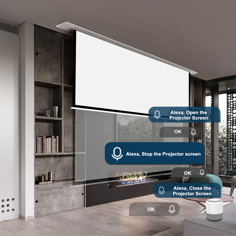 Layar Proyeksi/Proyektor Listr - Projector Mount Ceiling ulasan dan harga